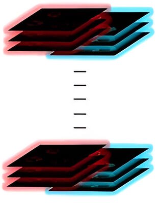 Fig. 4: Diagram explaining fast Z-stack fluorescence imaging of live cells in culture inserts using 2 different wavelengths with a THUNDER Imager Live Cell.