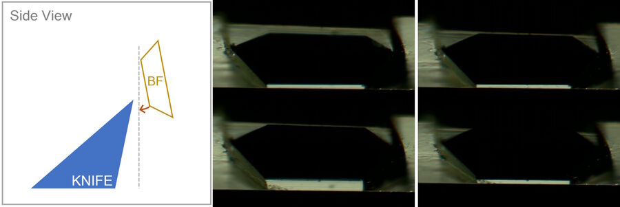 图7：调整样品倾转。左：样品倾转原理的示意图。样品倾转，直到块面表面沿切割运动方向与切片刀边缘对齐。中：上下移动样品时的两个光隙图像。灰色条纹的厚度不同。右：调整后的光隙。