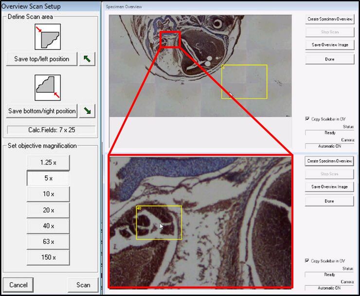 Overview images for optimal orientation and navigation