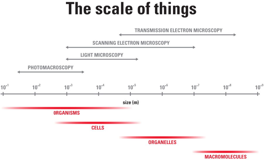 The Scale of things and suitable technologies for visualization.