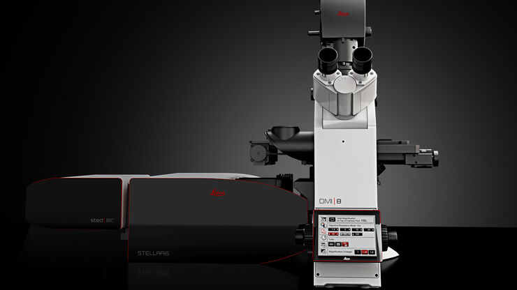 STED Microscope STELLARIS