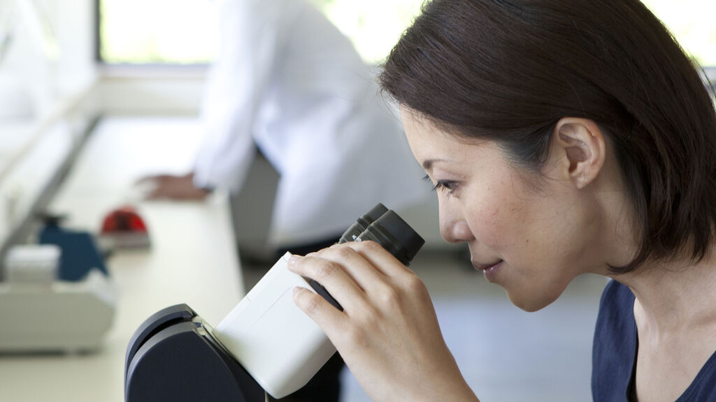 Using Inverted Microscope Inverted Microscopes | Products | Leica Microsystems