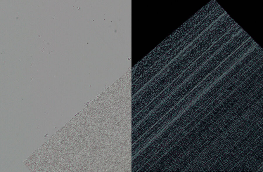 Polyethylene film with parallel and crossed polarizers