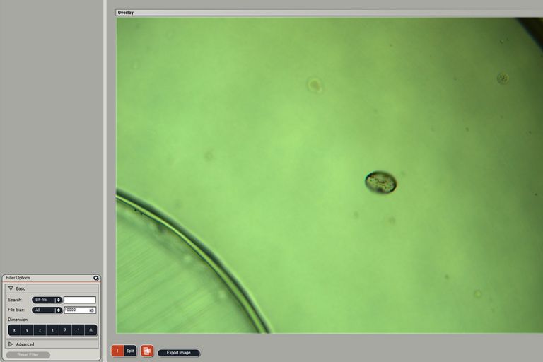 Track the sample to the collector with a record of every cut.