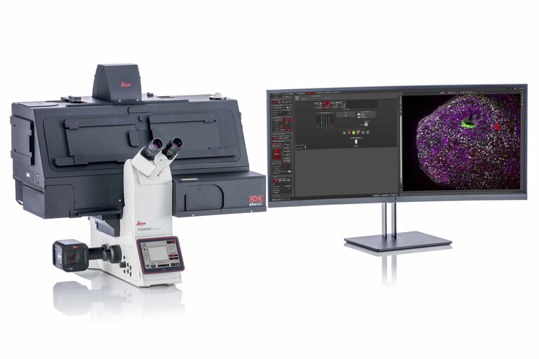 THUNDER Imager Live Cell basiert auf einem vollständig motorisierten DMi8-Mikroskop, der Quantum-Stage, der hochempfindlichen K8 GTC-Kamera und einer multi-spektralen Fluoreszenz-LED-Lichtquelle mit hoher Lichtintensität. Dieses Mikroskop-Paket ist für das schnelle und präzise Mehrpositions- und Mehrkanal-Imaging von 3D-Zellkulturen optimiert. 