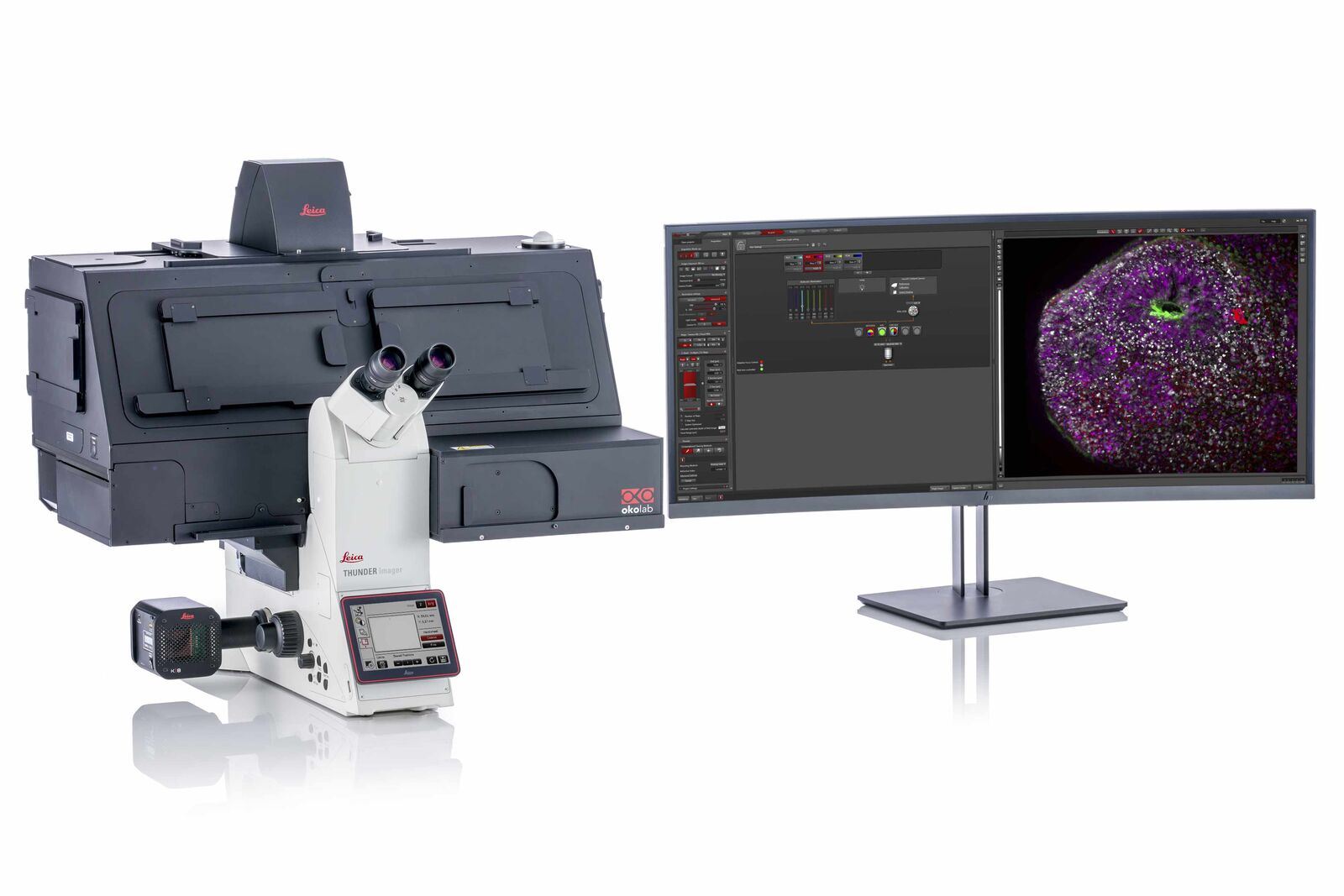 THUNDER Imager Live Cell est basé sur un microscope DMi8 entièrement motorisé, la platine Quantum, une caméra ultra-sensible K8 et une source de lumière LED à fluorescence haute intensité multibandes. Ils sont optimisés pour une imagerie rapide et précise, multipositions et multicanaux, des cultures cellulaires 3D. 