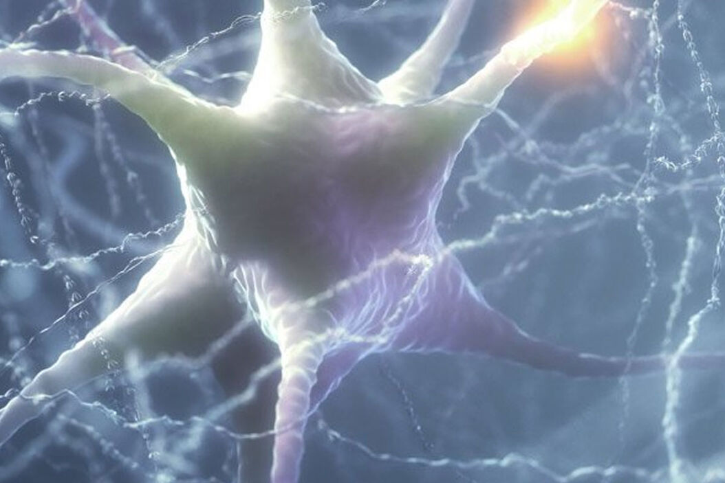  synaptic-dynamics.jpg