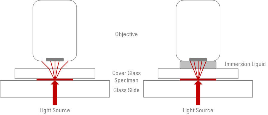 Light pass without and with an immersion liquid.