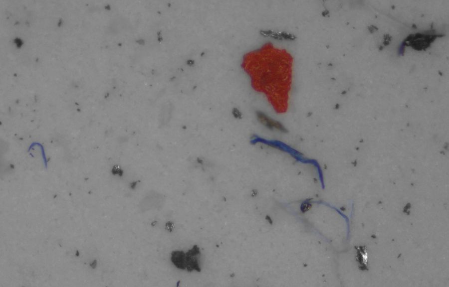 Filter image from cleanliness analysis showing particles of different sizes.