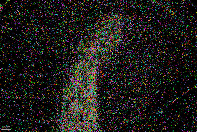 AI画像解析ソフトウェアAiviaによるターゲット細胞タイプのセグメンテーション AI画像解析ソフトウェアAiviaによるターゲット細胞タイプのセグメンテーション