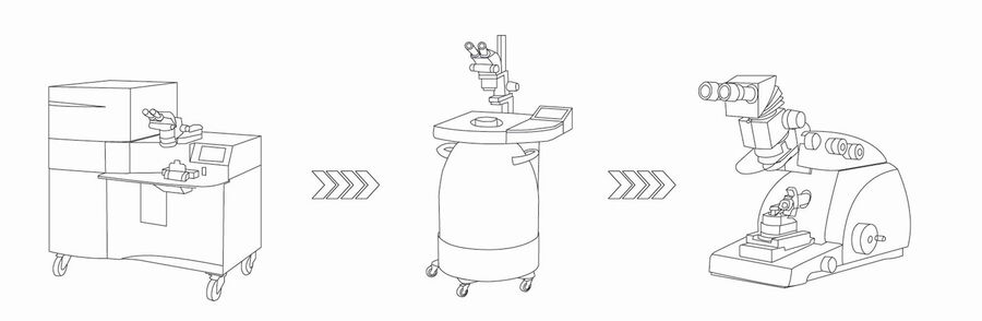 Light and electrical stimulation workflow involving high pressure freezing, freeze substitution, and sectioning.