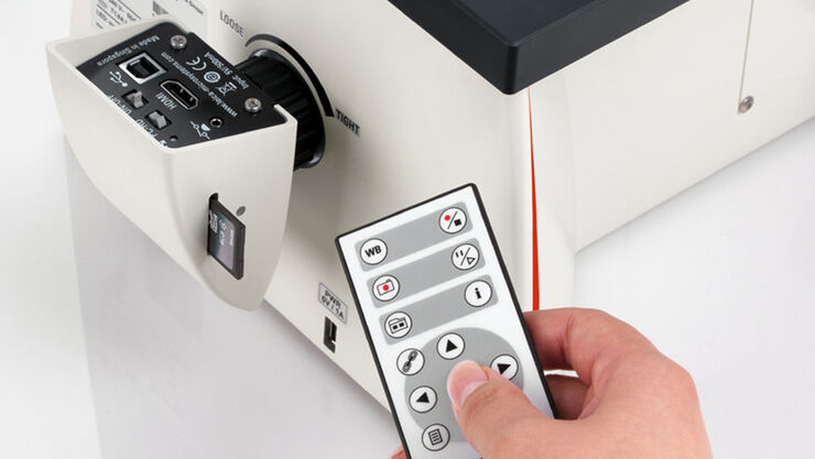 Cell Culture | Applications | Leica Microsystems Cell Culture | Applications | Leica Microsystems
