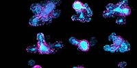 67-hour, multi-position time-lapse of mouse intestinal organoids expressing the cell cycle reporter FUCCI2 (hGem-mVenus and hCdt1-mCherry), acquired using Viventis Deep. 