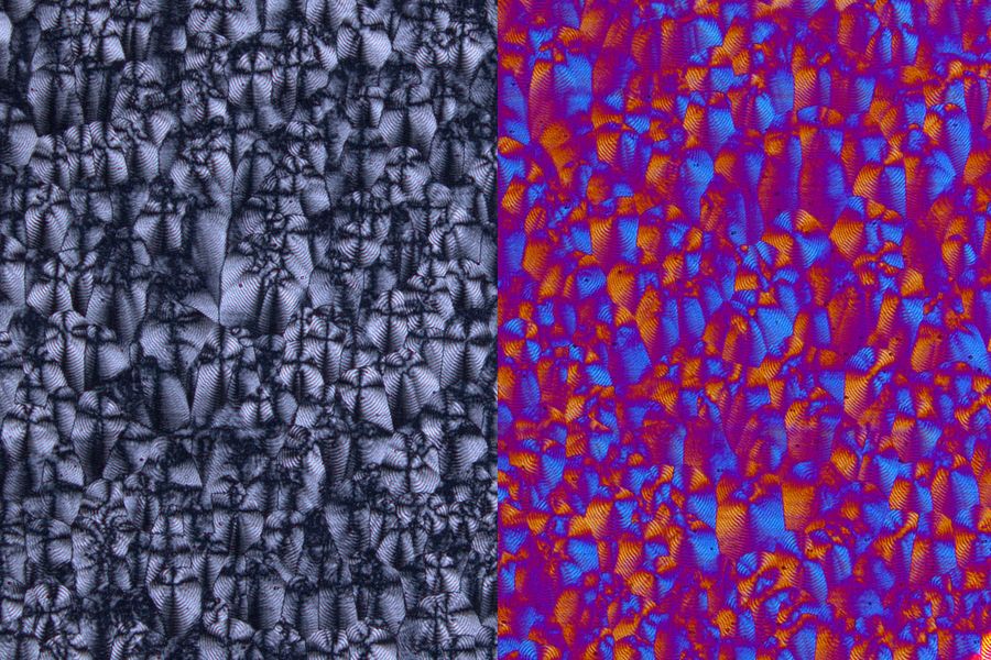 Polyethylene film imaged with: Left) parallel polarizers and Right) crossed polarizers and a lambda plate. 