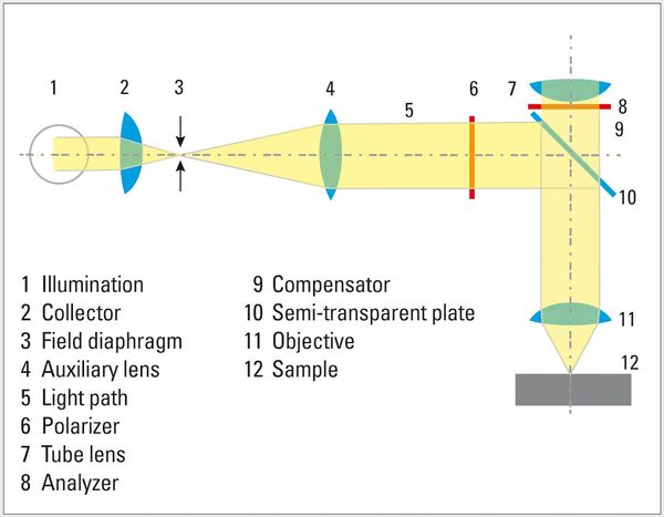 Polarization contrast: Polarization filters (polarizer and analyzer) in the microscope light path only let light waves through that are polarized parallel to the direction of transmission. When the polarizer and analyzer are rotated 90° with respect to each other, the image appears dark as very little or no light gets through. A sample placed on the microscope stage (in the light path between the polarizer and analyzer) can change the polarization of the incident light, resulting in characteristic birefringence colors.