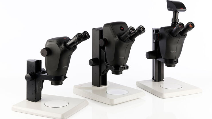 実体顕微鏡 | 製品紹介 | Leica Microsystems