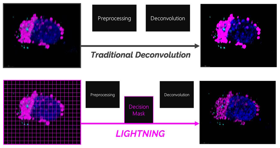 While standard algorithms use one global setting LIGHTNING determines individual voxel-precise signal-to-background values adapting to each individual pixel and allowing an automatic approach.