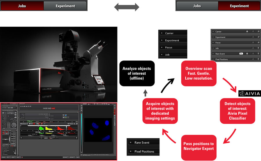 [Translate to chinese:] Fig. 5 The two modules, 'Jobs' and 'Experiment' of the Navigator Expert, which in combination with Aivia, define an automated rare event detection workflow.