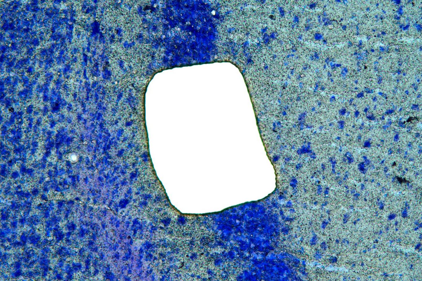 Leica Sample After Cut