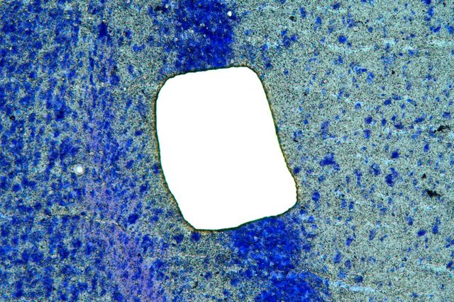 Sample after laser microdissection.