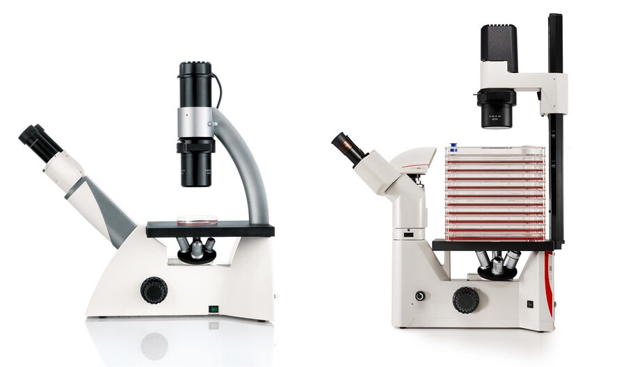 Only inverted microscopes – with the objective beneath the specimen and the condenser above – can guarantee that the objective is placed close enough to the specimen.
