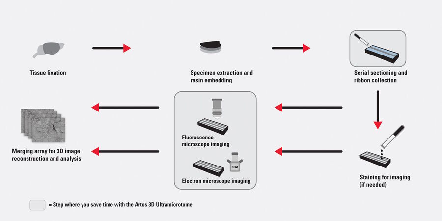 A typical workflow for the array tomography (AT) method. The work steps where the ARTOS 3D solution helps users to save time obtaining excellent AT results are indicated.