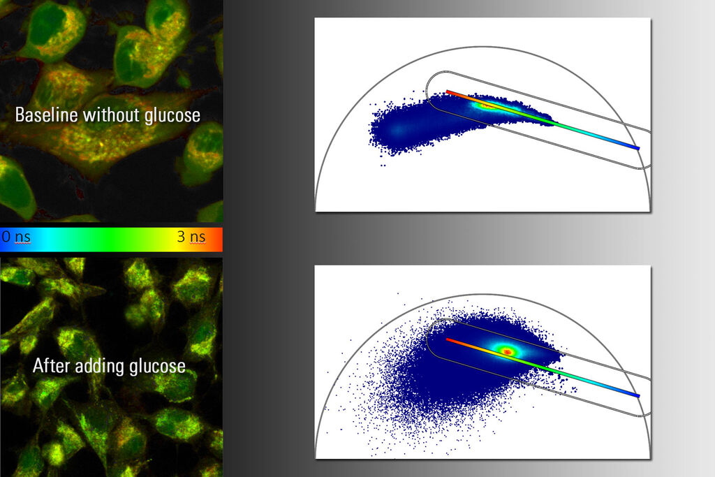 Csm Combining Multiphoton Img 7f83182812