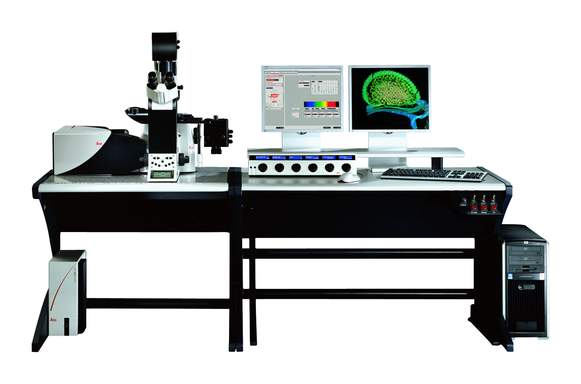 Le Leica TCS SP5 confocal à large spectre offre une compatibilité excellente avec différents périphériques et s'adapte à une large gamme d'applications d'imagerie. Le Leica TCS SP5 confocal à large spectre offre une compatibilité excellente avec différents périphériques et s'adapte à une large gamme d'applications d'imagerie.