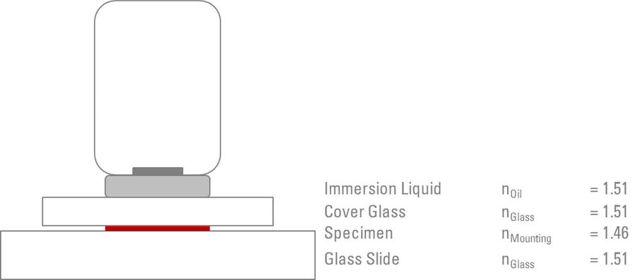 The refractive indexes of all optical elements between the specimen and the front lens of the objective have a major influence on the image quality.