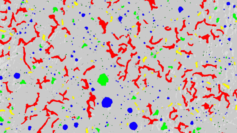 Immagine della ghisa, analizzata per microstrutture di grafite.