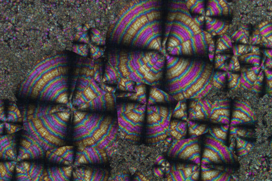 Spherulitic crystals of hippuric acid with crossed polarizers