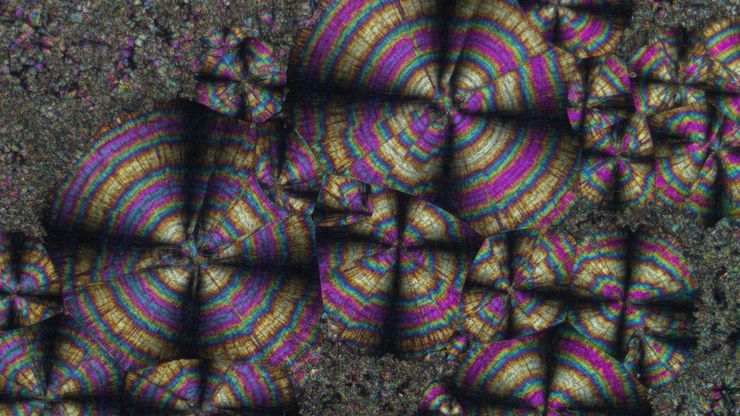 Spherulitic crystals of hippuric acid, which were imaged with a Leica microscope using crossed polarizers, showing so-called Maltese crosses. Spherulitic crystals of hippuric acid, which were imaged with a Leica microscope using crossed polarizers, showing so-called Maltese crosses.