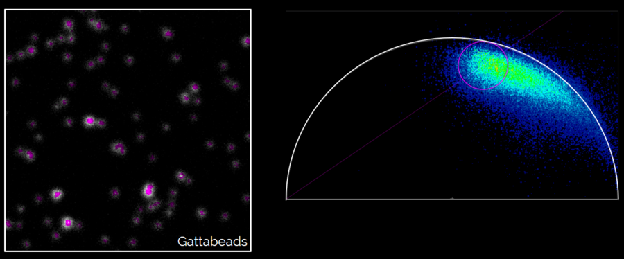 Phasor Analysis: Gattabeads imaged with STED and FLIM