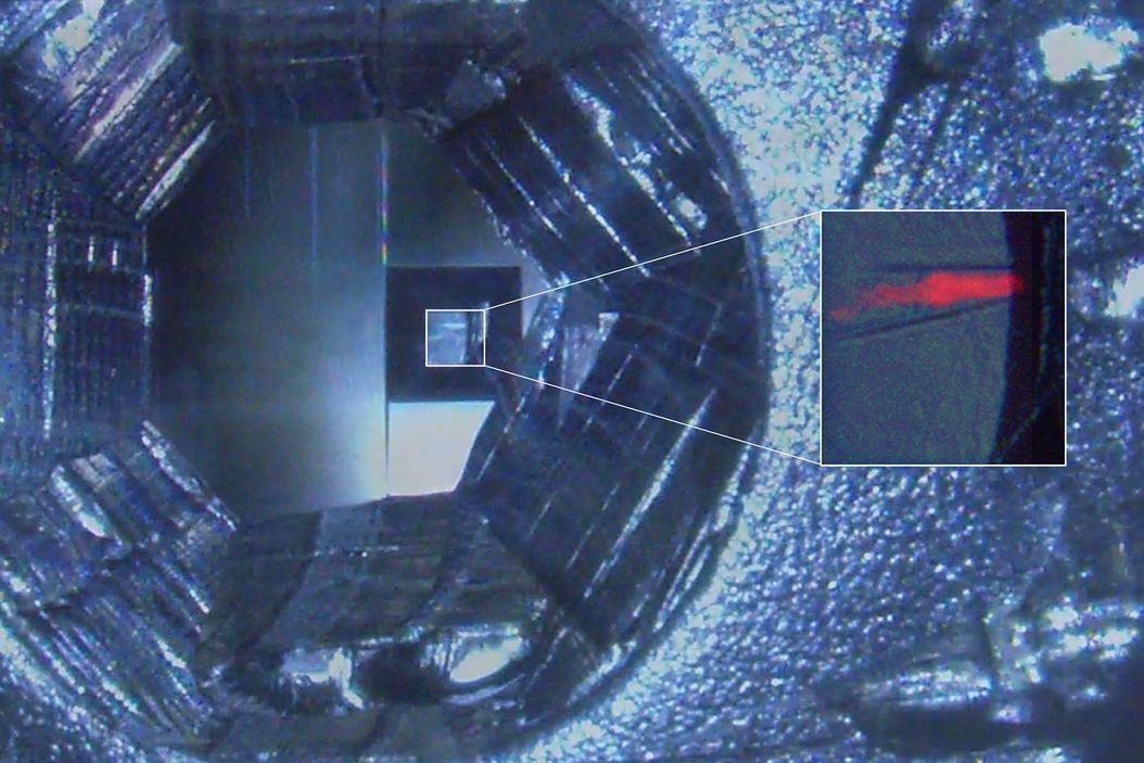 C. elegans embedded in Lowicryl® HM20; pharynx showing red fluorescence (mCherry). The overview shows a front view onto the resin capsule formed by the bottom of a flow-through chamber of the EM AFS2. The capsule was pretrimmed manually. The blockface was trimmed automatically using the AutoTrim function of UC Enuity guided by fluorescence of the worm. Edge length of both squares in relation to the images is 250 µm. In-Resin-Fluorescence-for-target-trimming-and-sectioning.jpg