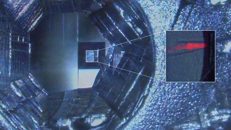 C. elegans embedded in Lowicryl® HM20; pharynx showing red fluorescence (mCherry). The overview shows a front view onto the resin capsule formed by the bottom of a flow-through chamber of the EM AFS2. The capsule was pretrimmed manually. The blockface was trimmed automatically using the AutoTrim function of UC Enuity guided by fluorescence of the worm. Edge length of both squares in relation to the images is 250 µm.