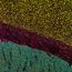 Leica Microsystems Showcases THUNDER Imager Cell Spinning Disk at Imperial College London