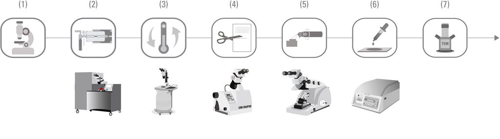 Csm Live Cell Clem Workflow 01 D27879584c