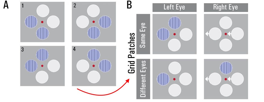 Schematic depiction of the visual stimuli. A: The four possible perceptions of the test images. The test subjects specified where the grids appeared and whether they were in front of or behind the fixation point. B: An example from the test series for different binocular stimulation (corresponds to perceived image 3 from A). The grid patches were presented to either the same eye or different eyes. A few patches were also shown shifted in one eye (white arrows). 