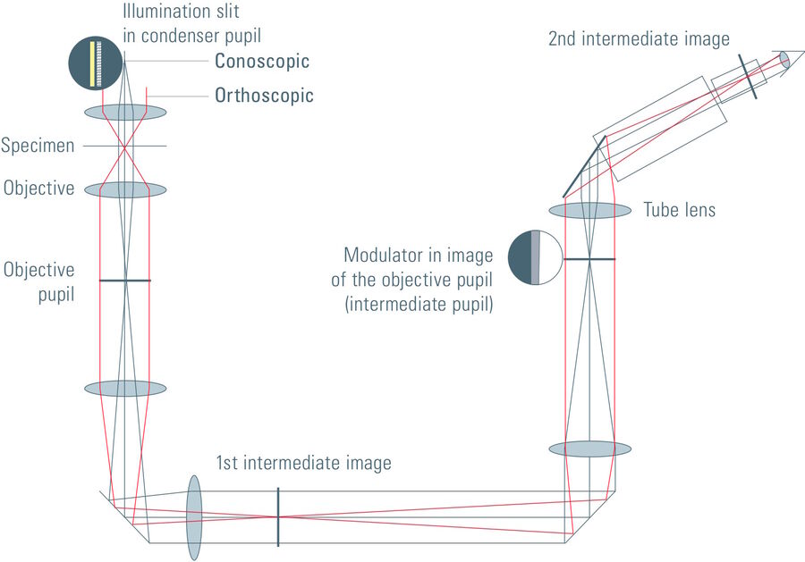 IMC solution in the inverted digital microscopes of Leica Microsystems. 