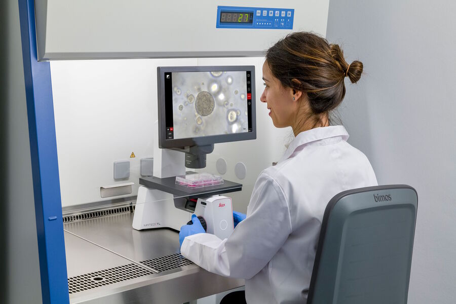 Figure 2: Mateo TL inside a laminar flow hood; application image on screen  shows 40x magnification of organoids cluster.