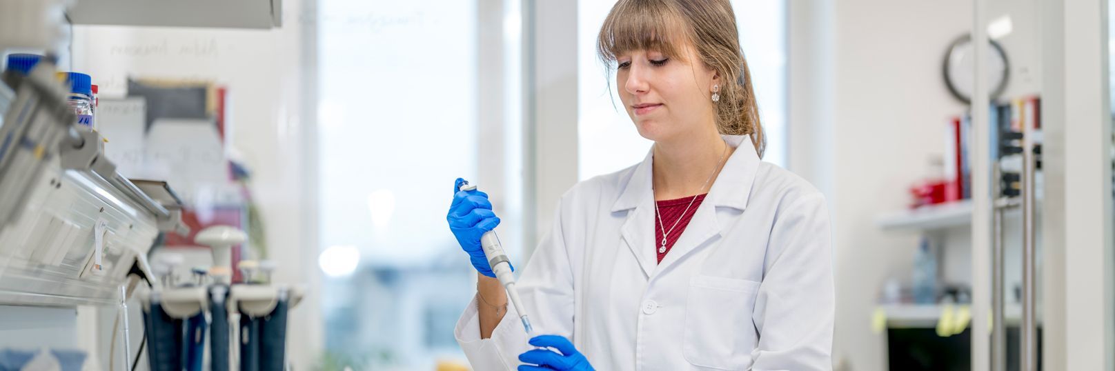 En-tête des marqueurs fluorescents