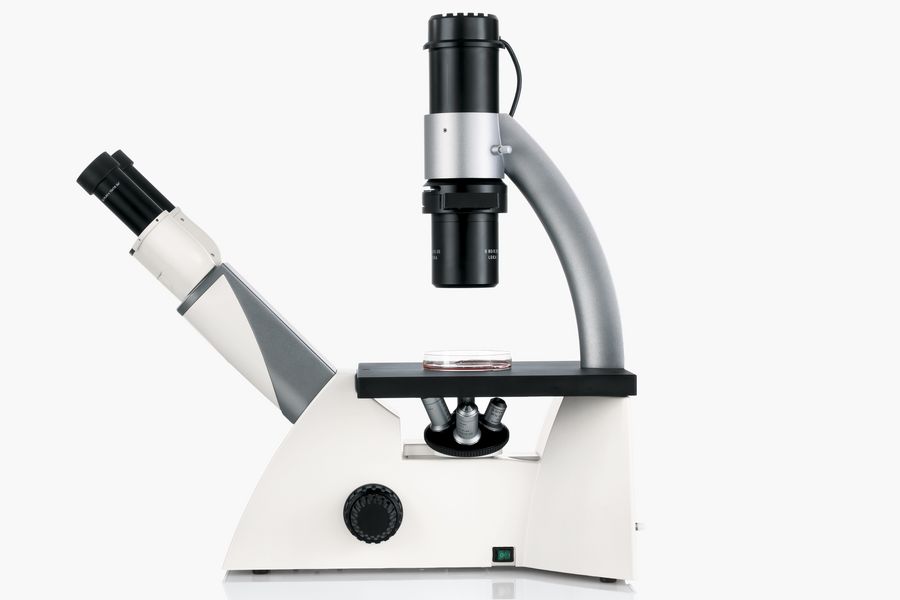 Basic setup and design of an inverted microscope is shown here with the DMi1.
