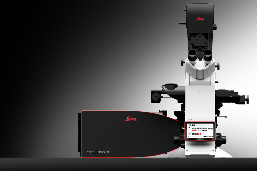 Confocal Microscope Platforms STELLARIS 5 & STELLARIS 