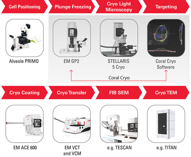 Coral Cryo 3D 극저온 전자 단층 촬영술 워크플로 솔루션