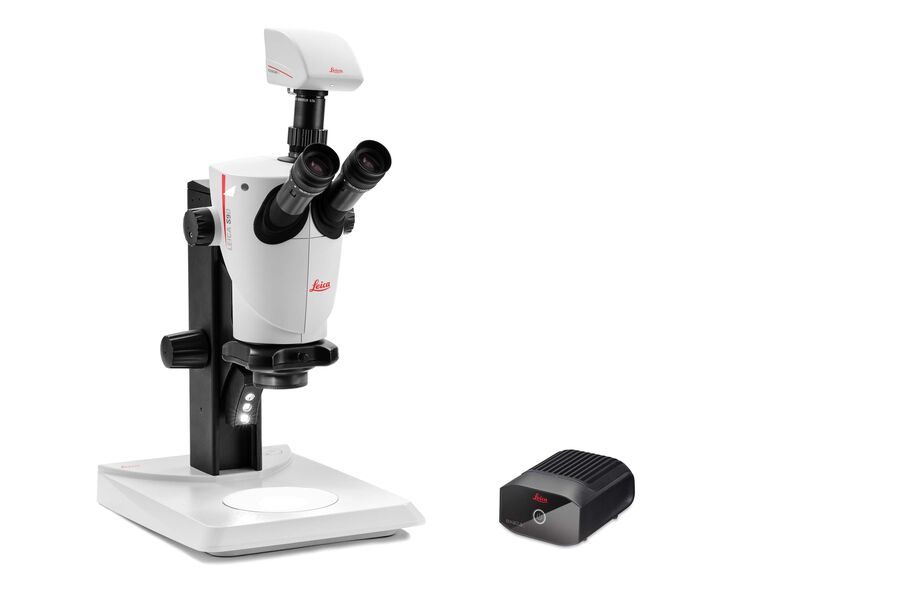 [Translate to spanish:] S9 D Greenough stereo microscope 
