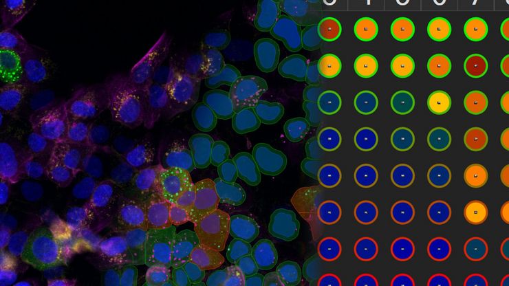 Aivia Microscope Software Teaser