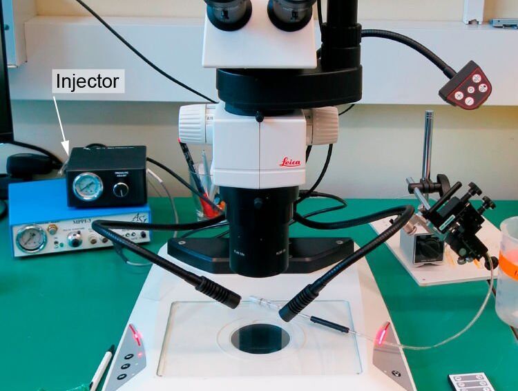Fig. 7: M80 with TL5000 Ergo base, manipulator and injector used for transgenesis in a zebrafish lab (Mosimann Lab, University of Zurich).