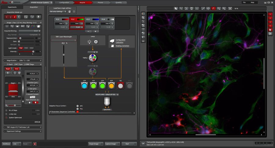 Software de microscopía LAS X