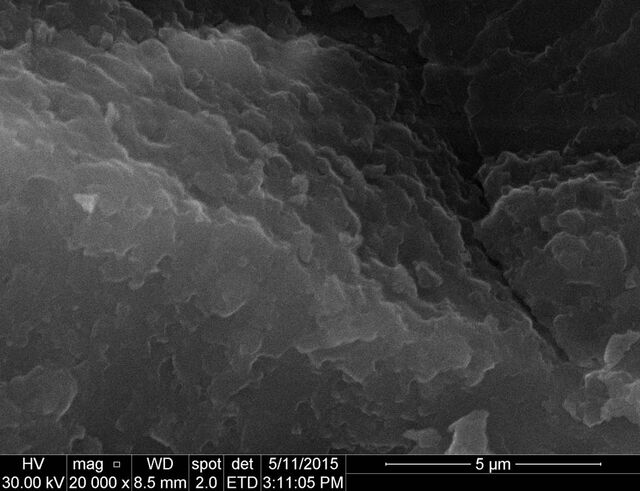 SEM image of high pressure frozen sun screen lotion 500 milliseconds after UV light exposure
