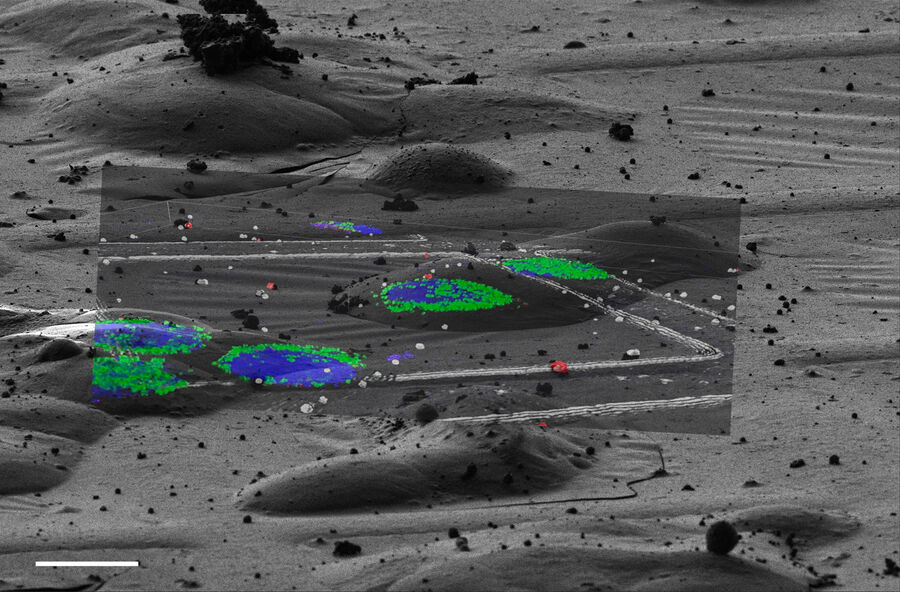 Overlay Confocal 3D with FIB view on SEM.